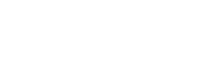 First Acceptance Corporation white logo