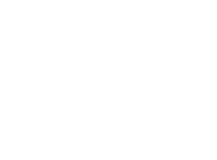 S Logo